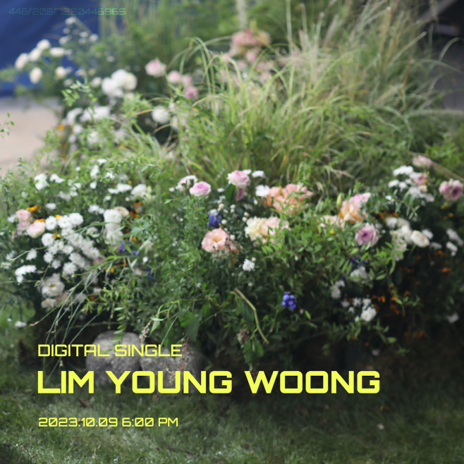 임영웅 컴백 관련 보도 사진