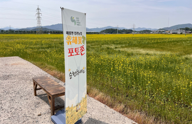 전남도