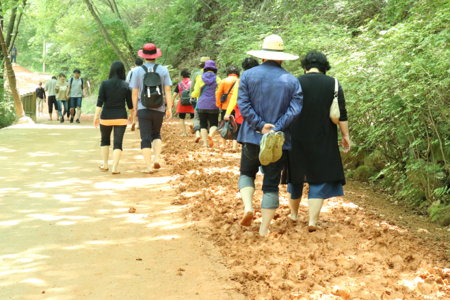 계족산