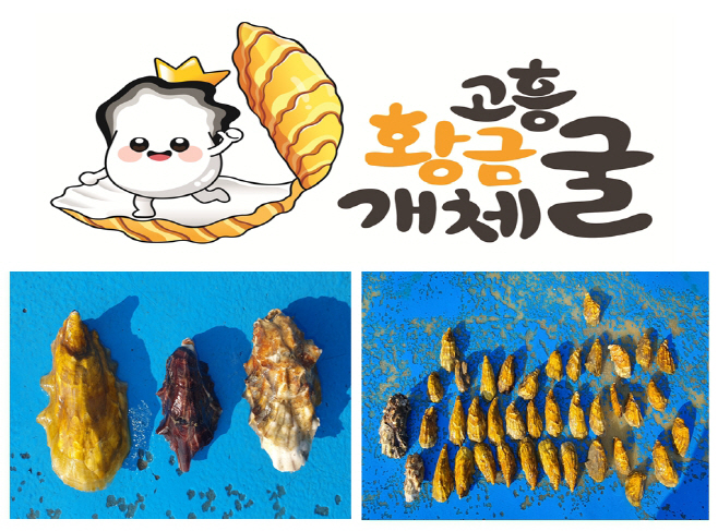 고흥황금개체굴 상표 출원