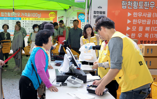 231014 합천군