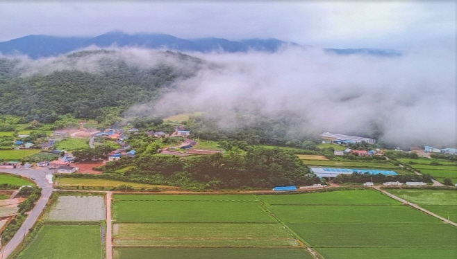 전남도
