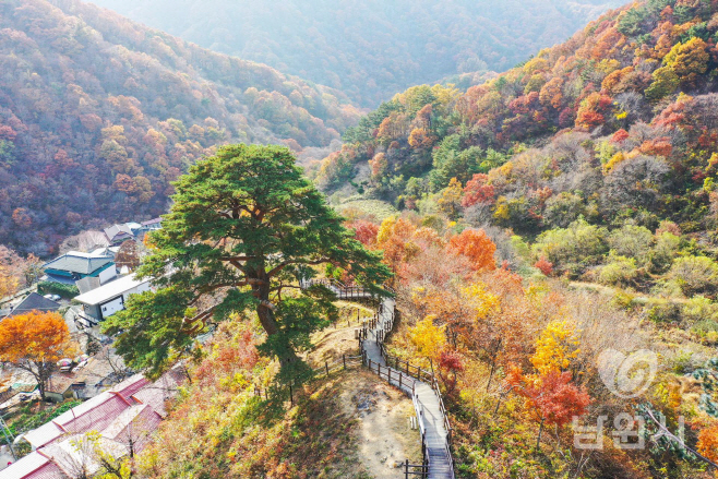 1016 산내면-지리산 뱀사골로 단풍 구경오세요