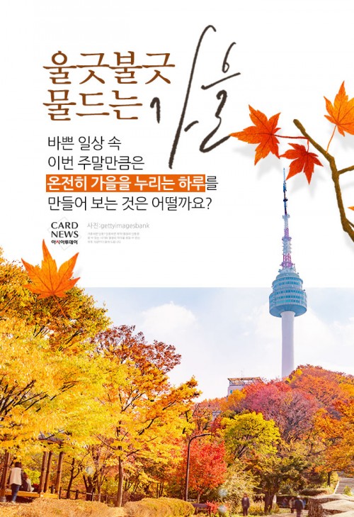 카드 뉴스 이미지
