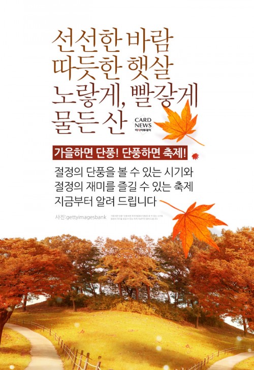 카드 뉴스 이미지