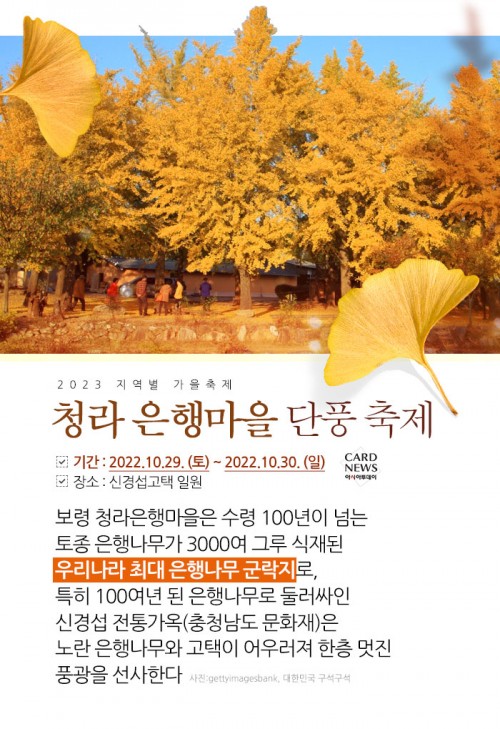 카드 뉴스 이미지