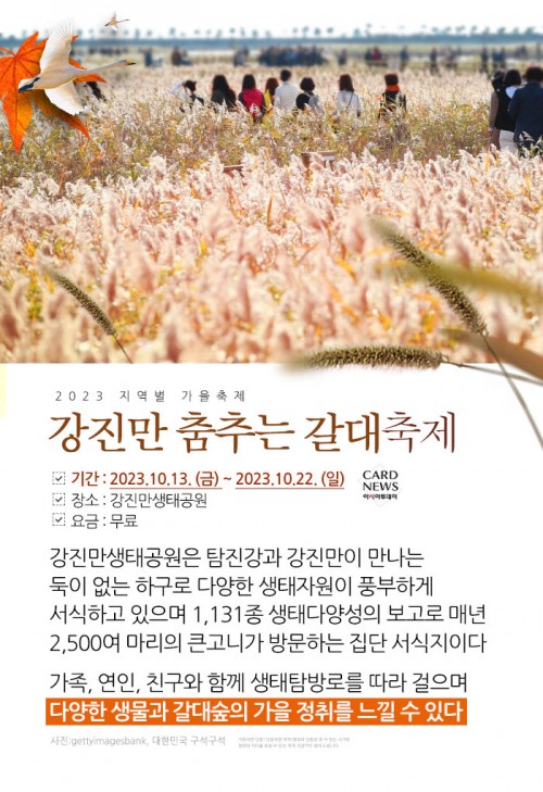 카드 뉴스 이미지