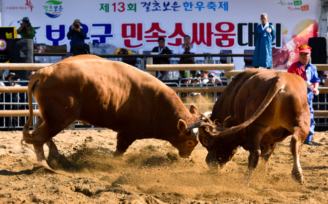 보은군 대추축제와 함께 열리고 있는 제14회 보은전국민속소힘