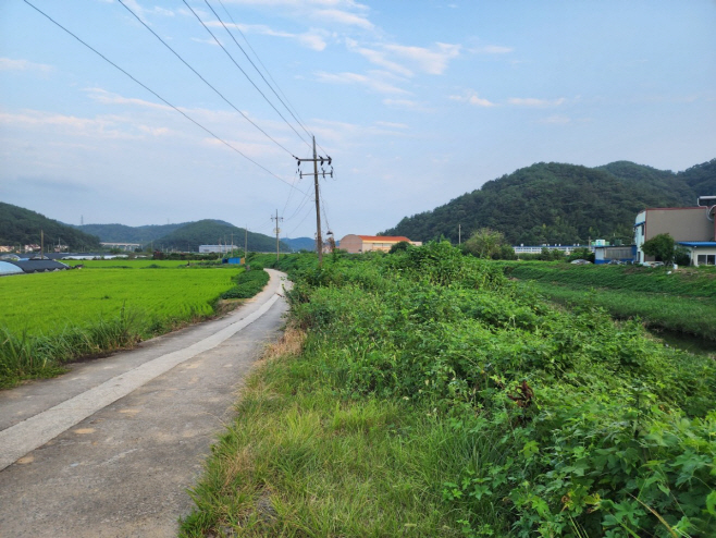 진주나불천1
