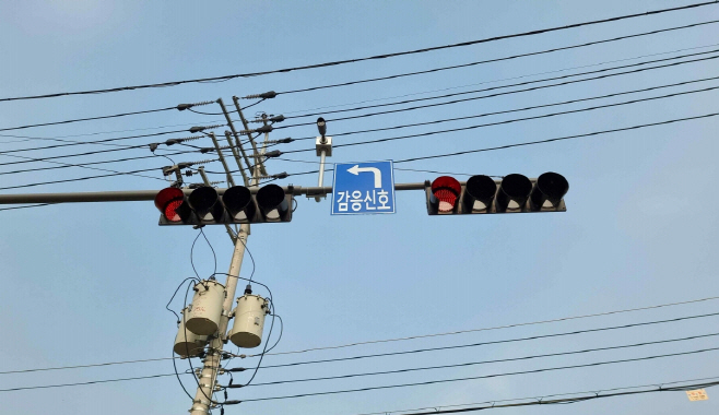 감응신호등
