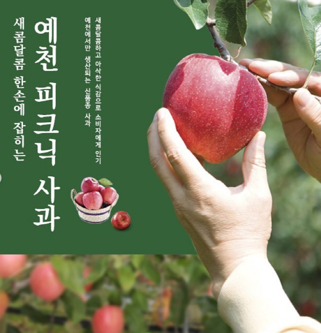 (예천군) 피크닉 사과’ 농식품부 장관상 수상 (1)