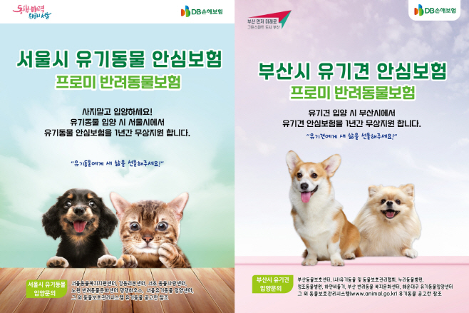 (이미지) 서울시 부산시 유기동물정책