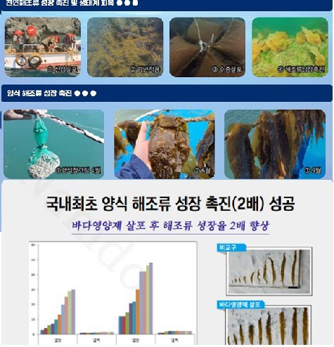 캡처 2