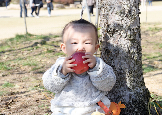 1030 실과소 사진자료 2(