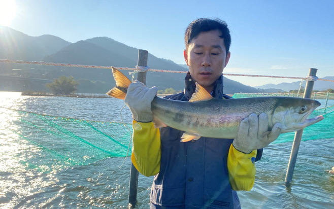 전남도