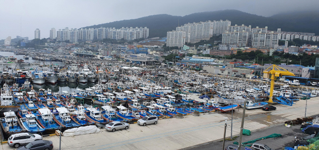 전남도