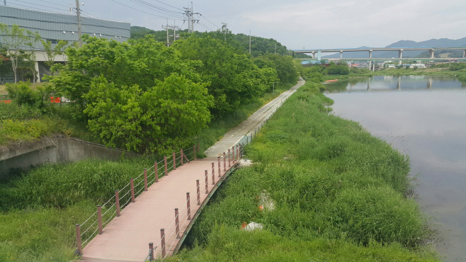 수변구역