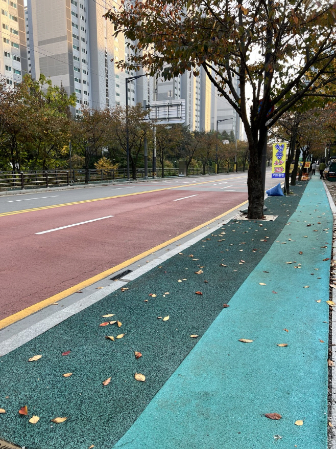 동천초 일원 보도