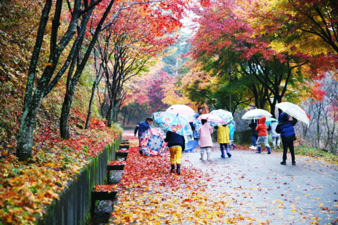 백운산 가을2