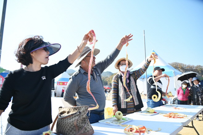 청송사과축제 사과 올림픽 3종