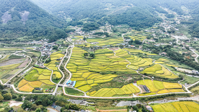 경남의지역특화사업(함안군여항면주서리다랑논)