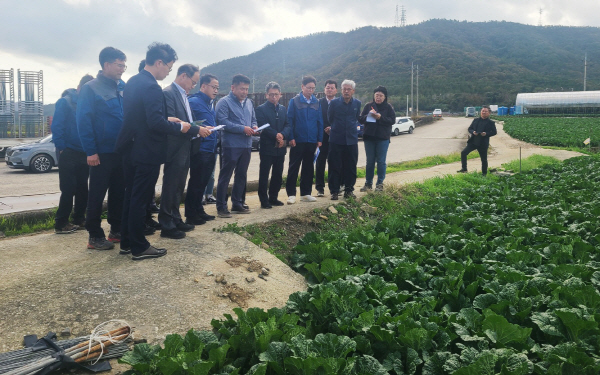 홍두선 차관보, 전남지역 배추, 대파 작황 상황 점검 (1)