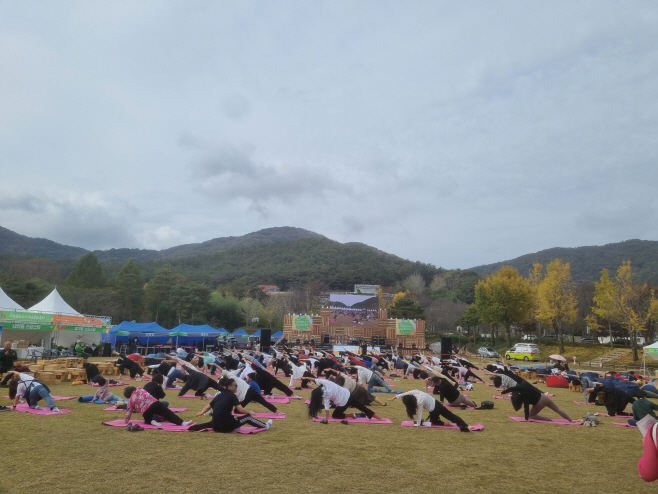 치유문화축제
