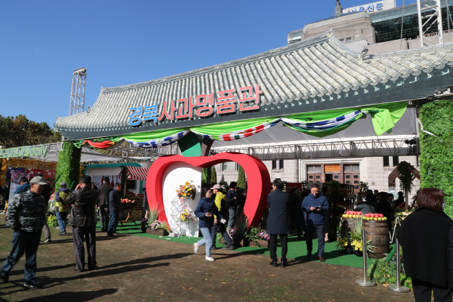 1107 안동시  서울시청 광장서 안동사과 홍보 나서 (3)