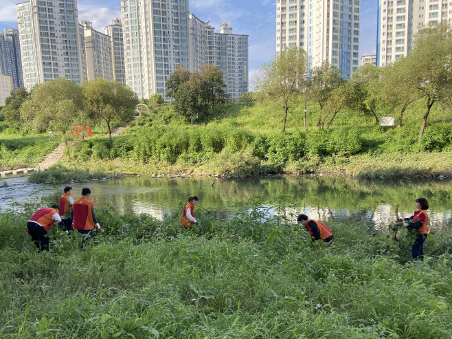 SK에코플랜트 청계천 봉사활동 모습