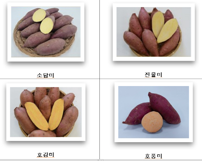 화면 캡처 2023-11-08 140355