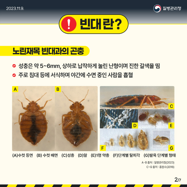 포