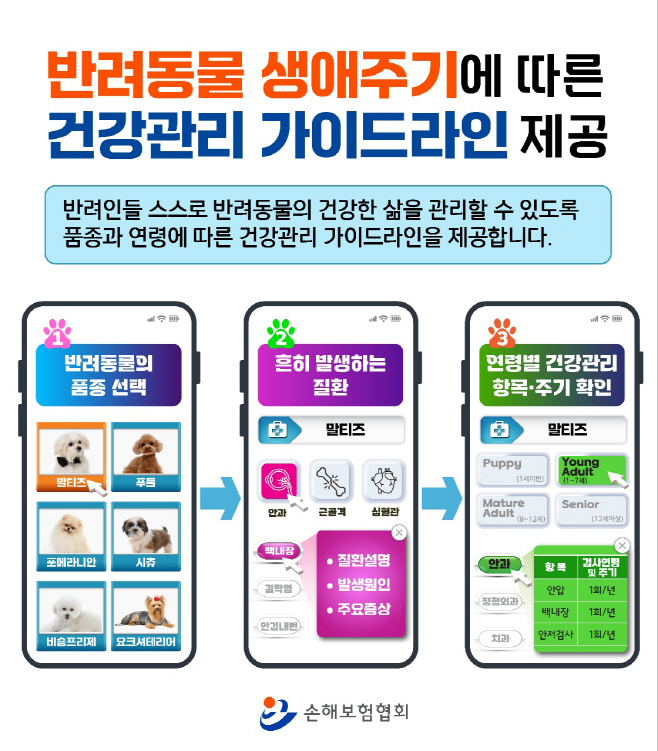 인포그래픽