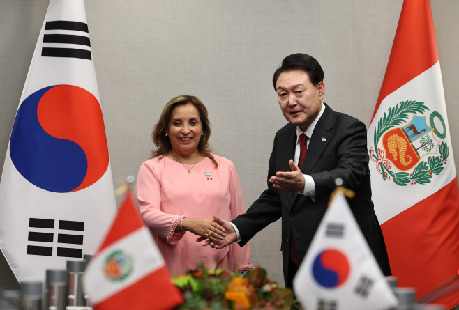 APEC 계기 한·페루 정상회담