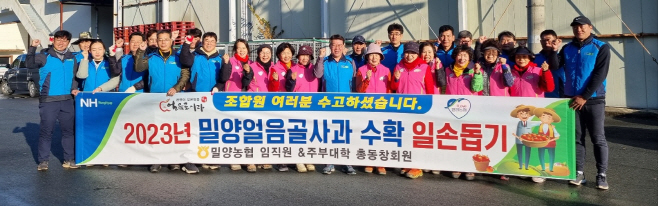 밀양농협 임직원 사과수확 농촌일손돕기 실시(사진)