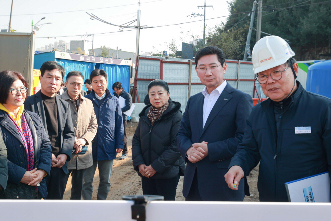 보라동