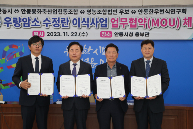 1122 안동시 ‘우량암소 수정란 이식사업’업무협약 체결 (2)