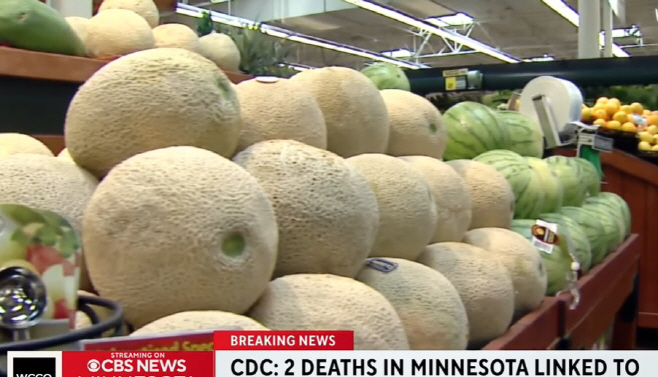 melon
