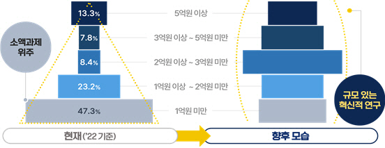 규모있는 과제 중심 R&D 개편