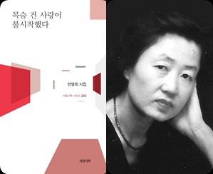 시인선 206_안영희_목숨 건 사랑이 불시착했다_커버