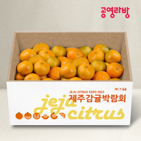 공영라방 제주노지감귤 이미지
