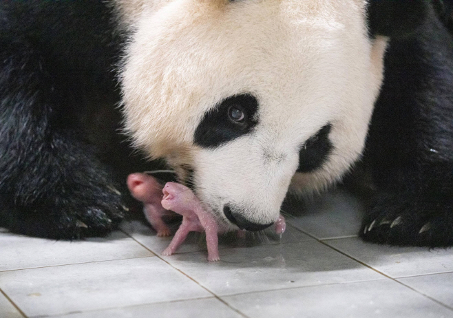 타임