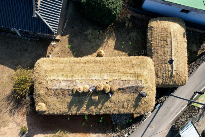 의령군 전통가옥 초가지붕 이엉 잇기 한창) (1)