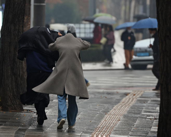 갑작스러운 겨울비