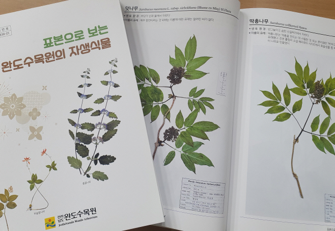 전남도