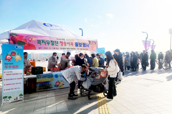 청송사과GAP사업단 부산 해운대서 홍보·시식행사 개최