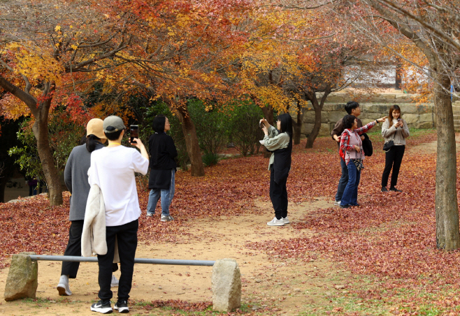 강진군