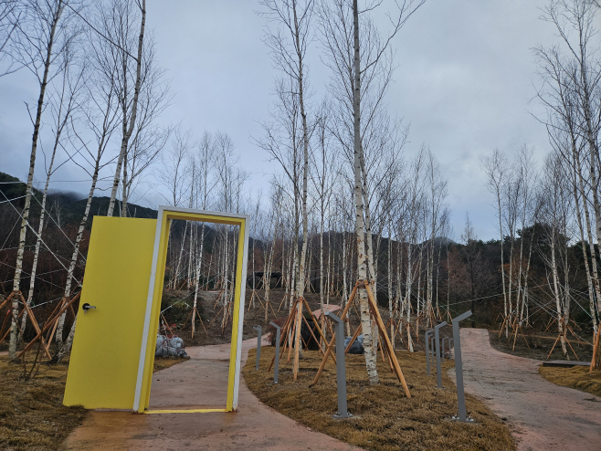 2. 1213 원예산업과-명품 자작나무숲과 함께하는 겨울여행 (2)