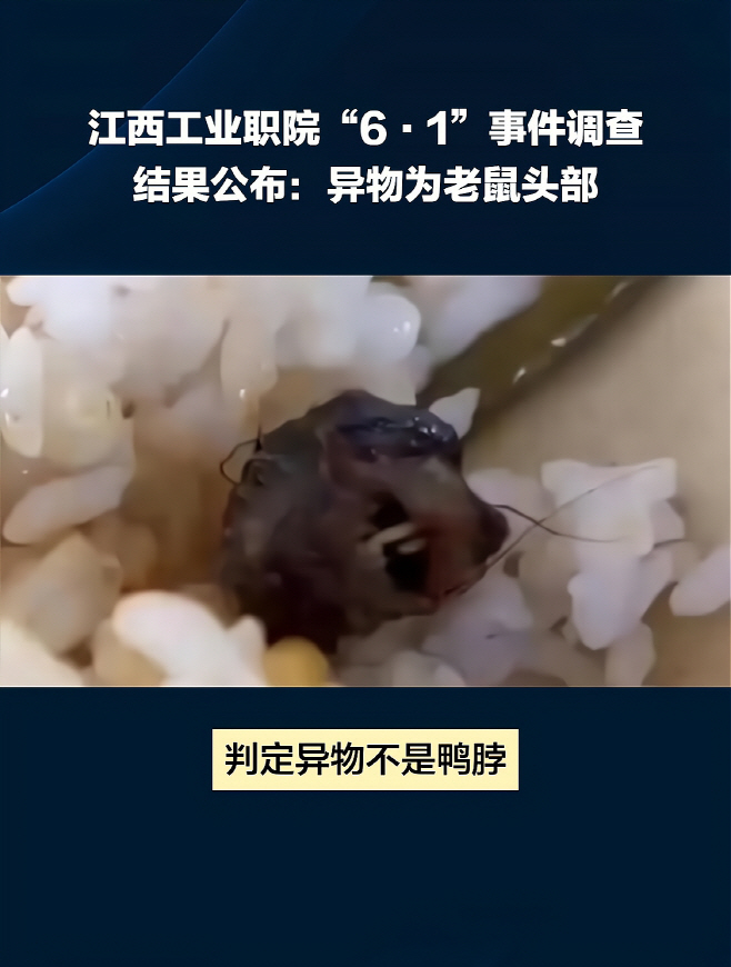clip20231216064841