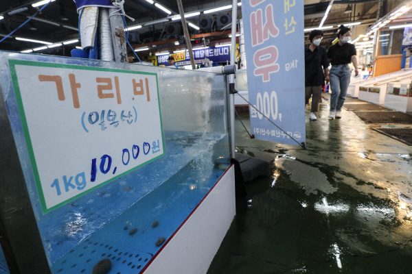 비어있는 일본산 가리비 수조<YONHAP NO-2850>