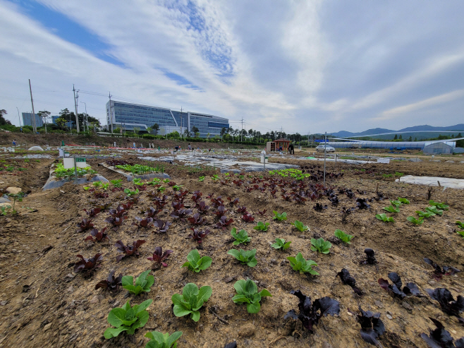 성남 텃밭